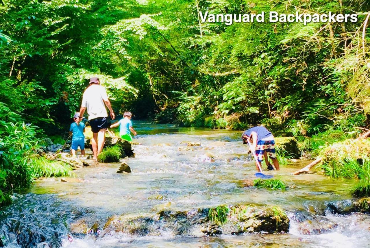 Privatunterkunft Vanguard Backpackers *